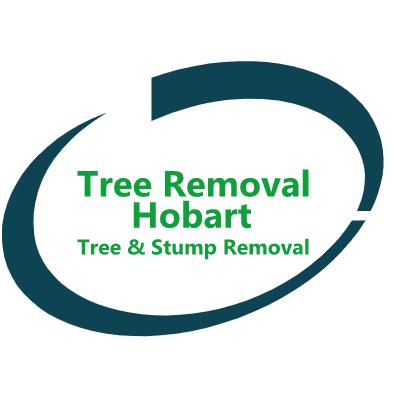 Tree Removal Hobart | 66 Homer Avenue, Moonah, TAS, 7009, Australia | Phone: 0488 842 525
