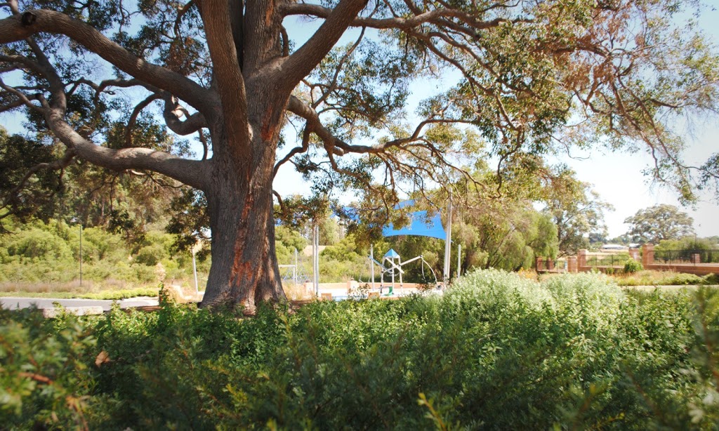 Earth Essence Landscape Design | 135 McCarrs Creek Road, Church Point NSW 2150, Australia | Phone: 0457 081 446
