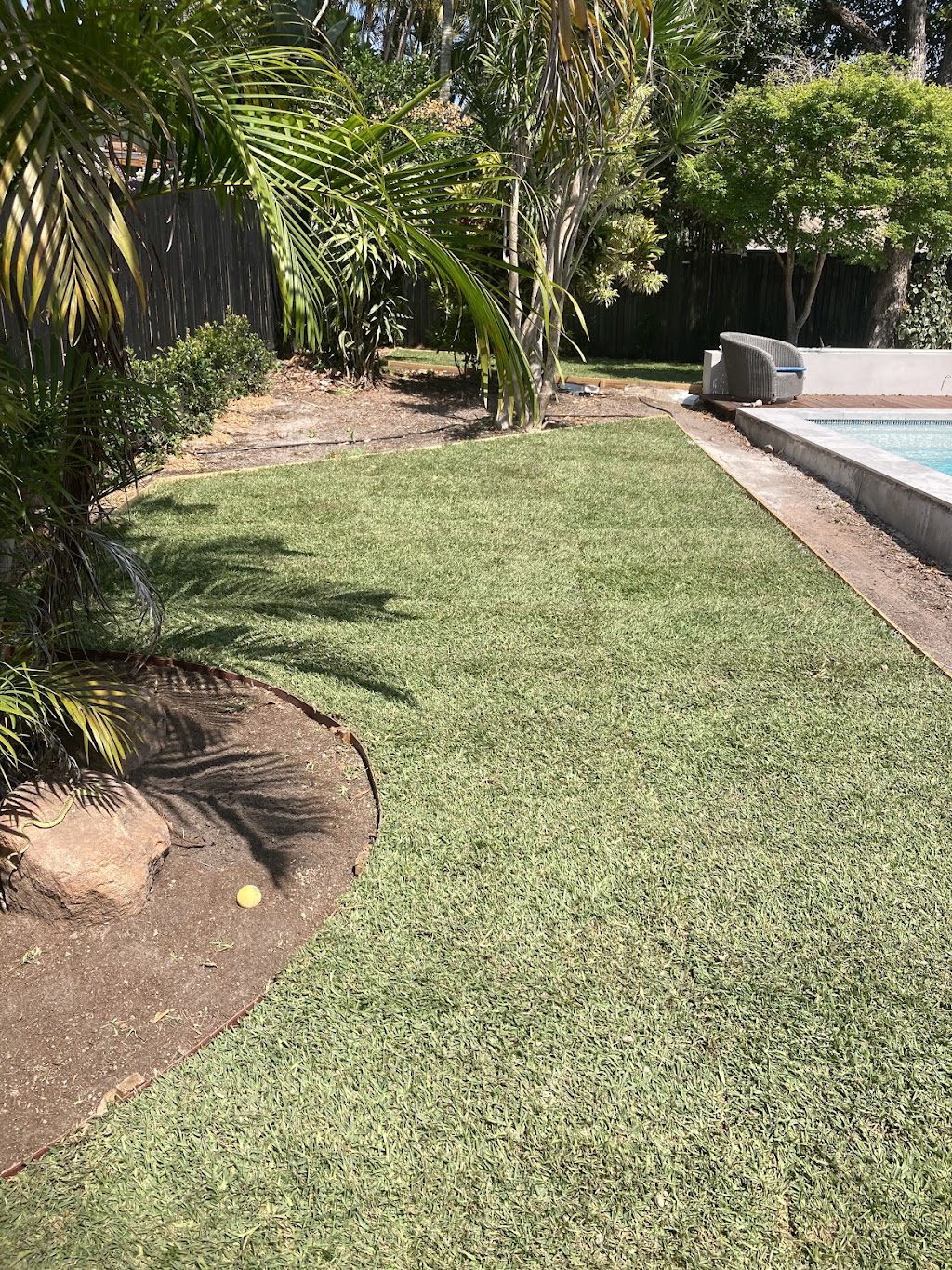 Paradise Turf | 80 Link Rd, Glass House Mountains QLD 4518, Australia | Phone: 0428 984 356