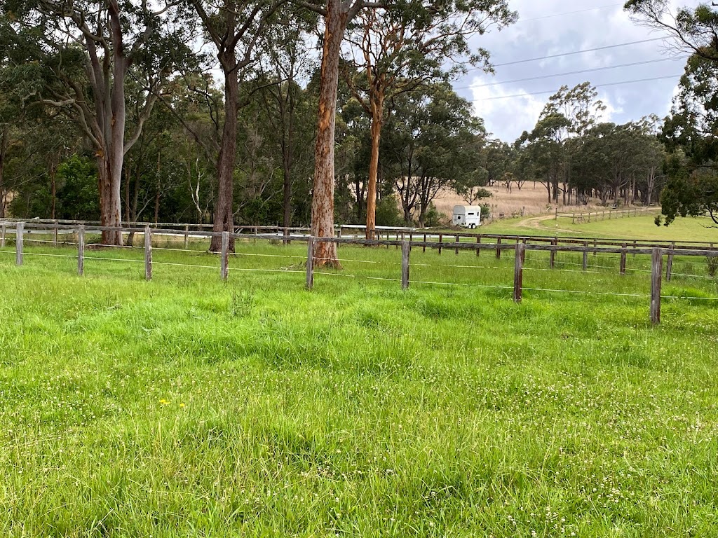 Brighton Park Boutique Agistment | 270 Bushells Ridge Rd, Wyee NSW 2259, Australia | Phone: 0411 113 045