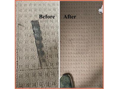 Queen Carpet Cleaning | general contractor | 1/96 Glass St, Essendon VIC 3040, Australia | 0405161424 OR +61 0405 161 424