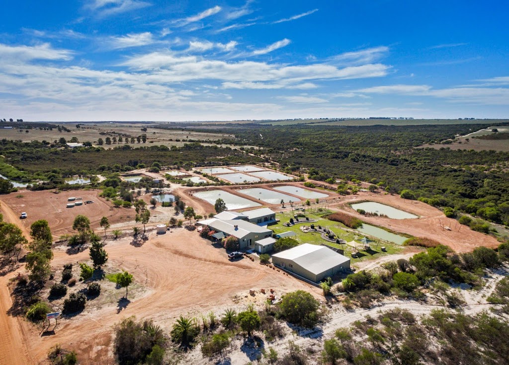 Chapman Valley Fishing Park | tourist attraction | 388 Hickety Rd, Nabawa WA 6532, Australia | 0400618484 OR +61 400 618 484