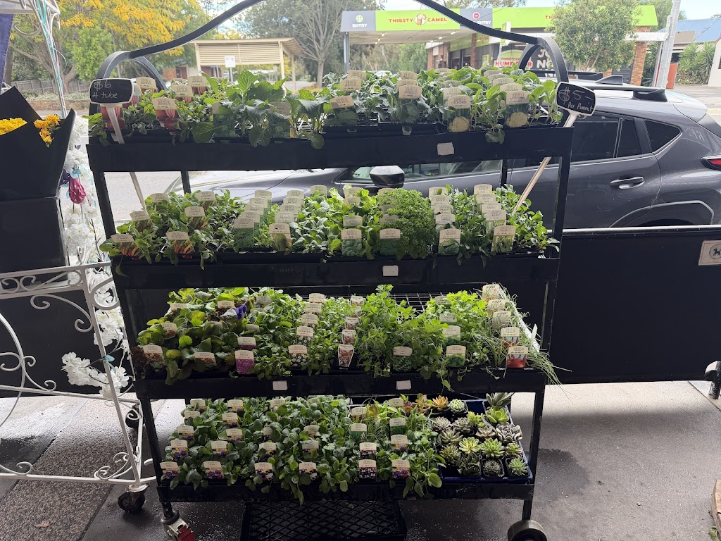 Florist gump flowers | 13 Prince St, Rosedale VIC 3847, Australia | Phone: 0402 138 639