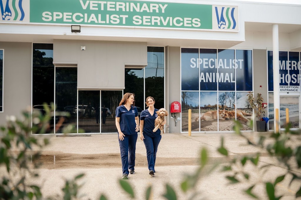 Animal Dermatology Specialist – Gold Coast South (Carrara) | Veterinary Specialist Services - Carrara, 104 Eastlake St, Carrara QLD 4211, Australia | Phone: 0402 237 237