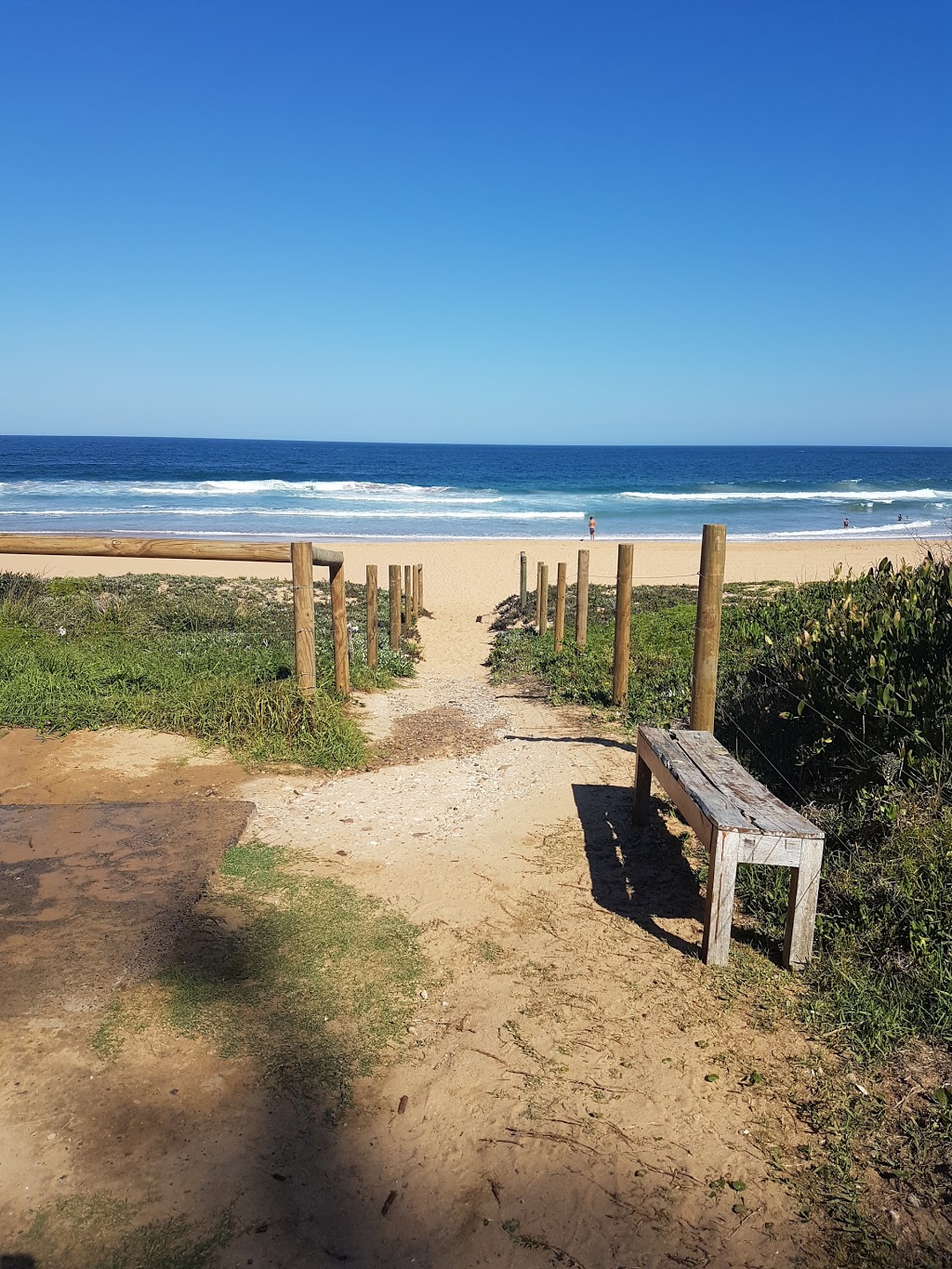 Beachfront Breaks @ Avoca (North) | real estate agency | 44 Ocean St, North Avoca NSW 2260, Australia | 0418262454 OR +61 418 262 454