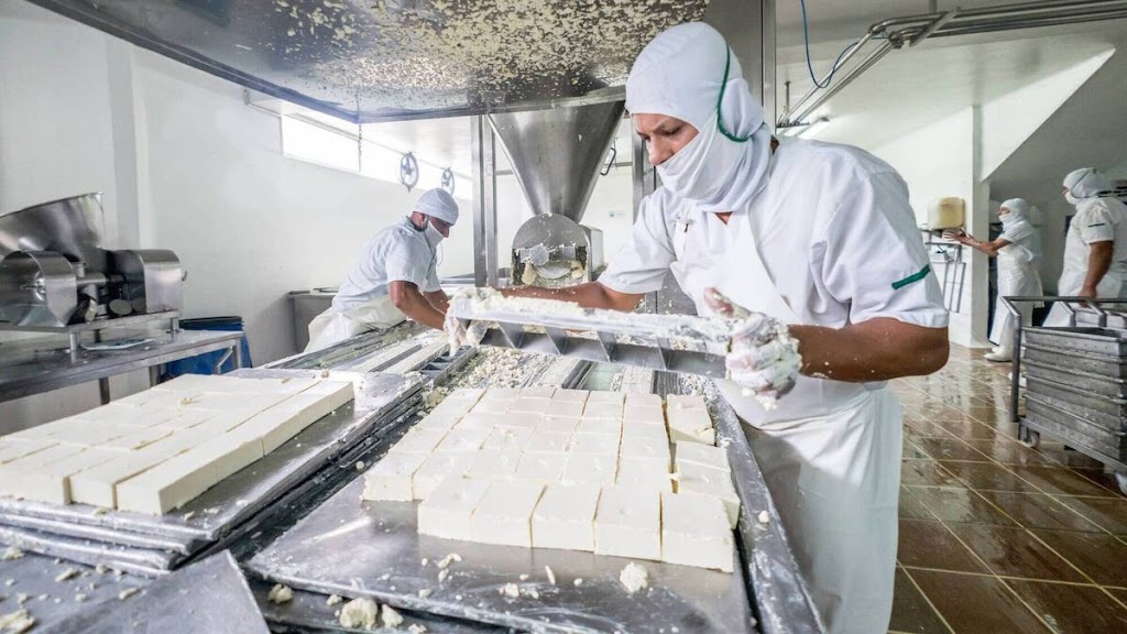 milatle - dairy products | 33 Fergusson St, Camperdown VIC 3260, Australia | Phone: 0489 089 602