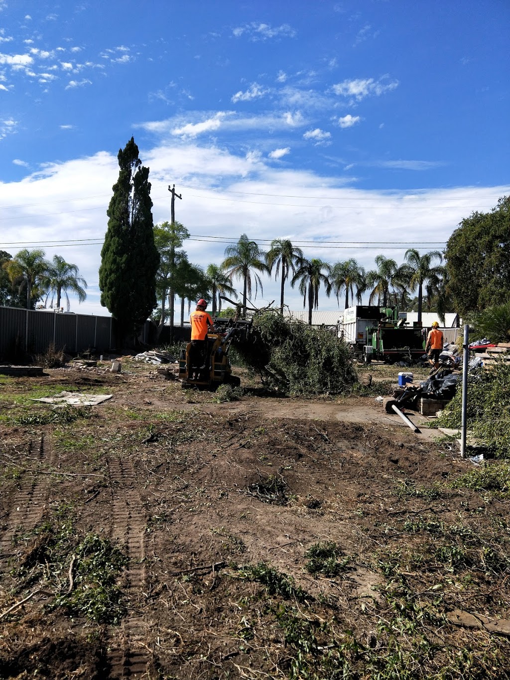 Kingdoms Tree Care | 24 Fairway Dr, Terrigal NSW 2260, Australia | Phone: 0418 432 319