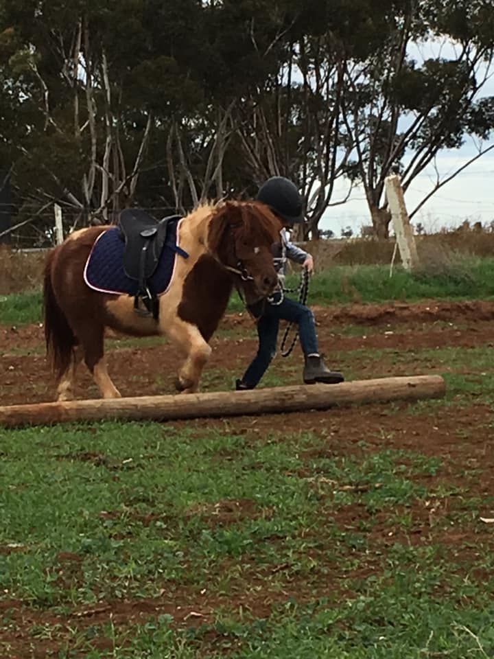 Kilgarrin Performance Horses | 2236 Borung Hwy, Jeffcott North VIC 3480, Australia | Phone: 0416 937 609