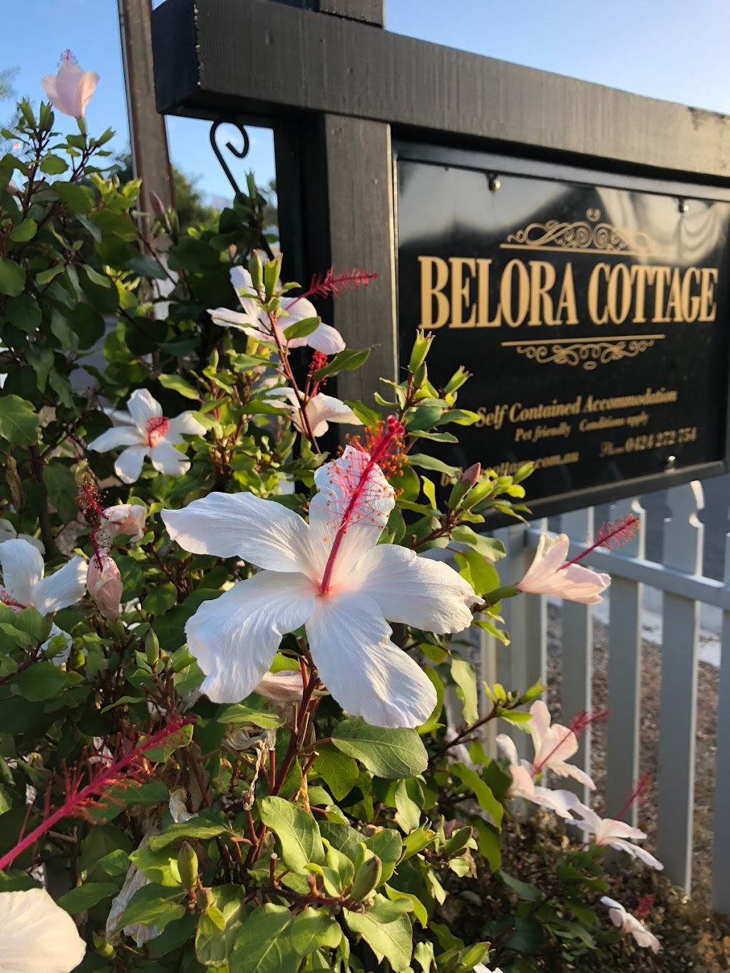 Belora cottage | lodging | 7 Liddiard St, McLaren Vale SA 5171, Australia | 0424272754 OR +61 424 272 754