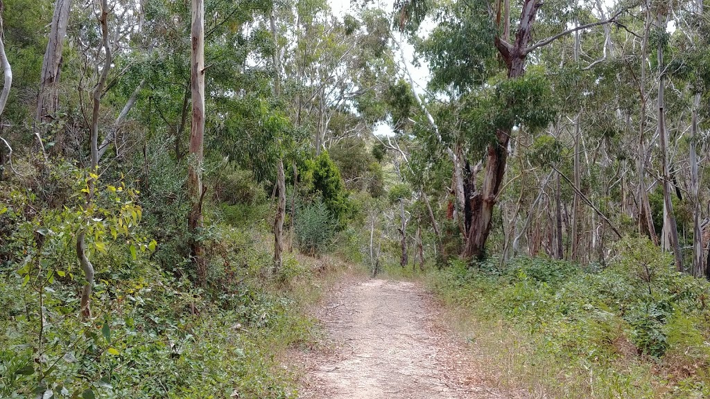 Horsnell Gully Conservation Park | Horsnell Gully SA 5141, Australia