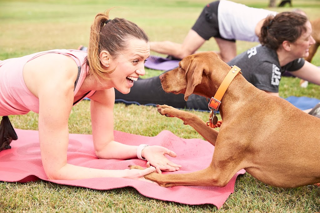 Pawsitive Vibe Fitness | health | Musgrave Ponds, Centennial Park NSW 2021, Australia | 0490493471 OR +61 490 493 471