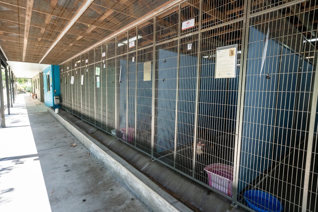 RSPCA Mackay | Mount Bassett Cemetery Rd &, Strickland Rd, Mackay Harbour QLD 4740, Australia | Phone: 0407 787 571