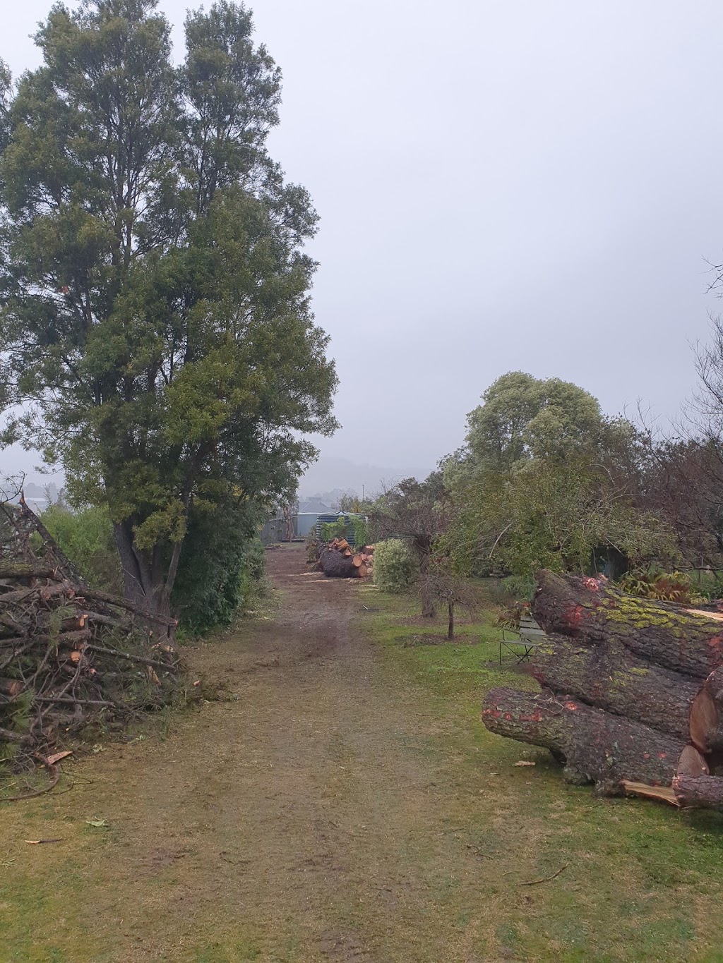 Ezi Cut Tree Services | Four Winds, 190 Bowral St, Bowral NSW 2576, Australia | Phone: 0411 891 146