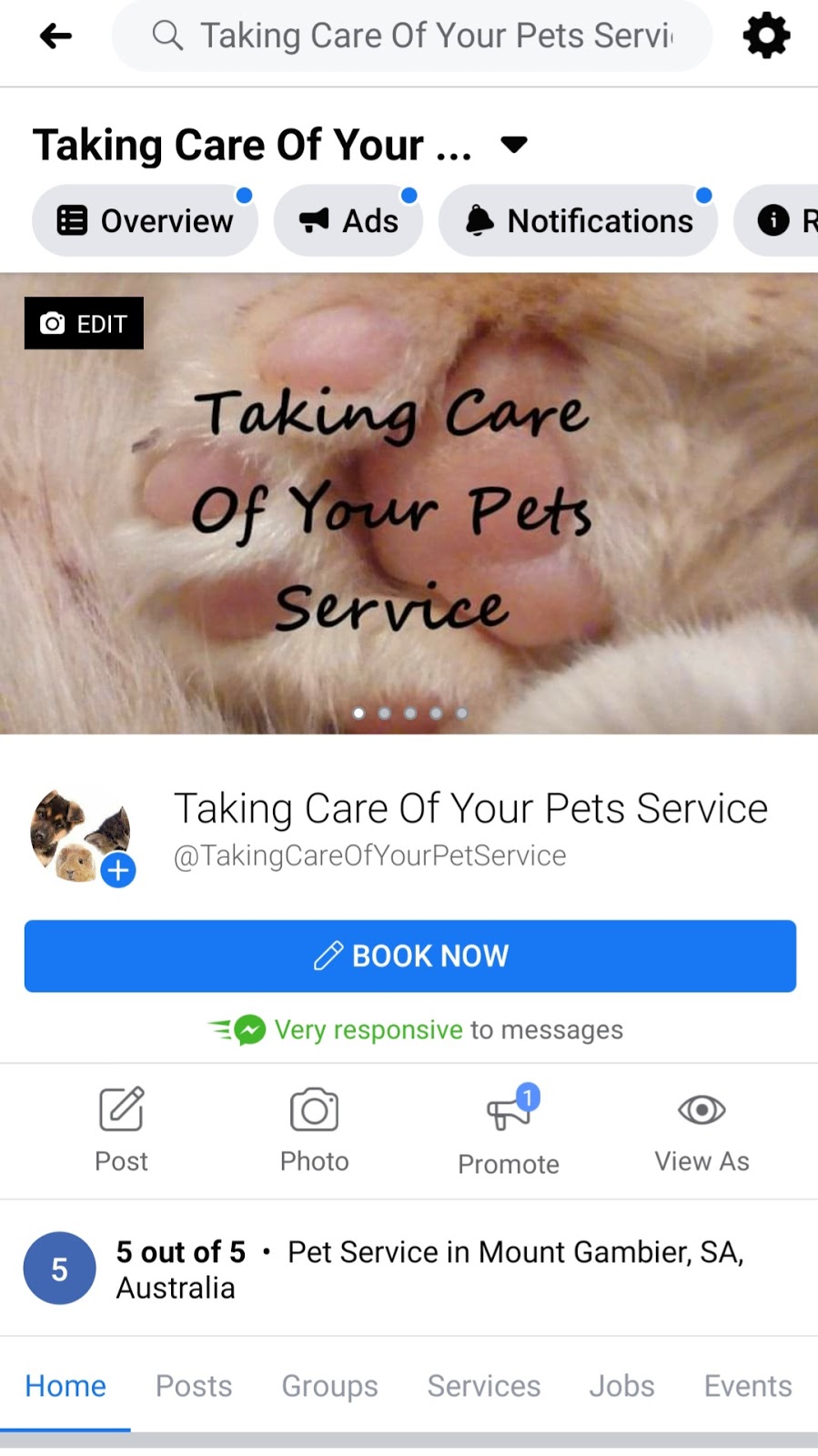 Taking Care Of Your Pets Sevice | 40 Lachlan Cres, Mount Gambier SA 5290, Australia | Phone: 0481 182 598