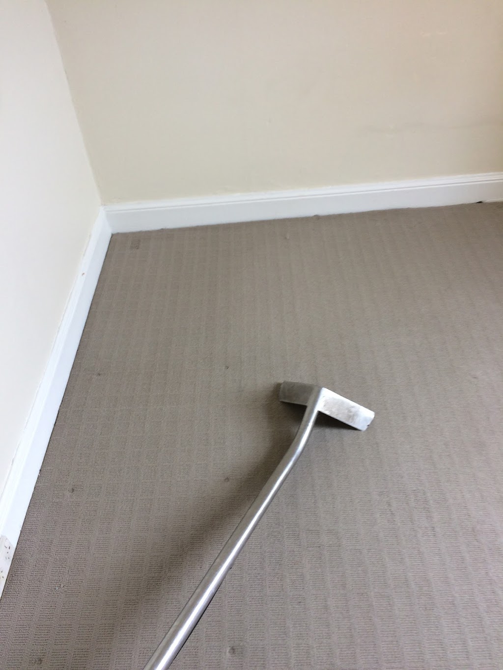 Coastal Carpet Cleaning | 29 Balaka St, Rosny TAS 7018, Australia | Phone: 0431 077 276