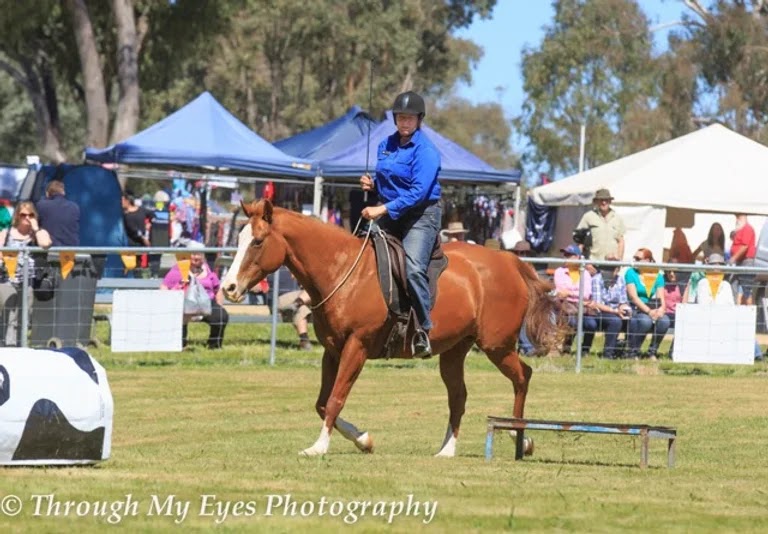 Seven Keys Horsemanship Macedon Ranges | Institute Rd, Carlsruhe VIC 3442, Australia | Phone: 0429 031 395