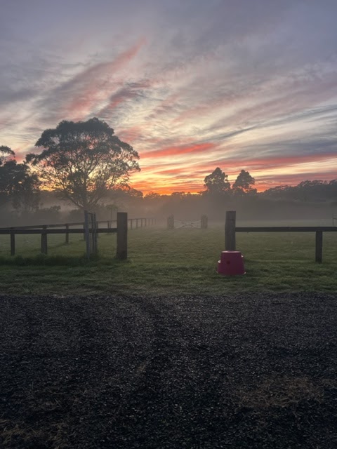 Hallards Road Short Stay Accommodation | 130 Hallards Rd, Central Mangrove NSW 2250, Australia | Phone: 0404 895 148