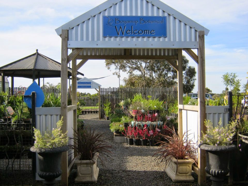 Boyanup Botanical | store | Lot 14 S Western Hwy, Boyanup WA 6237, Australia | 0897315470 OR +61 8 9731 5470