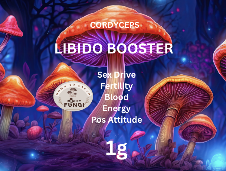 Mighty Fungi | 92651 Bruce Hwy, Balberra QLD 4740, Australia | Phone: 0404 624 956