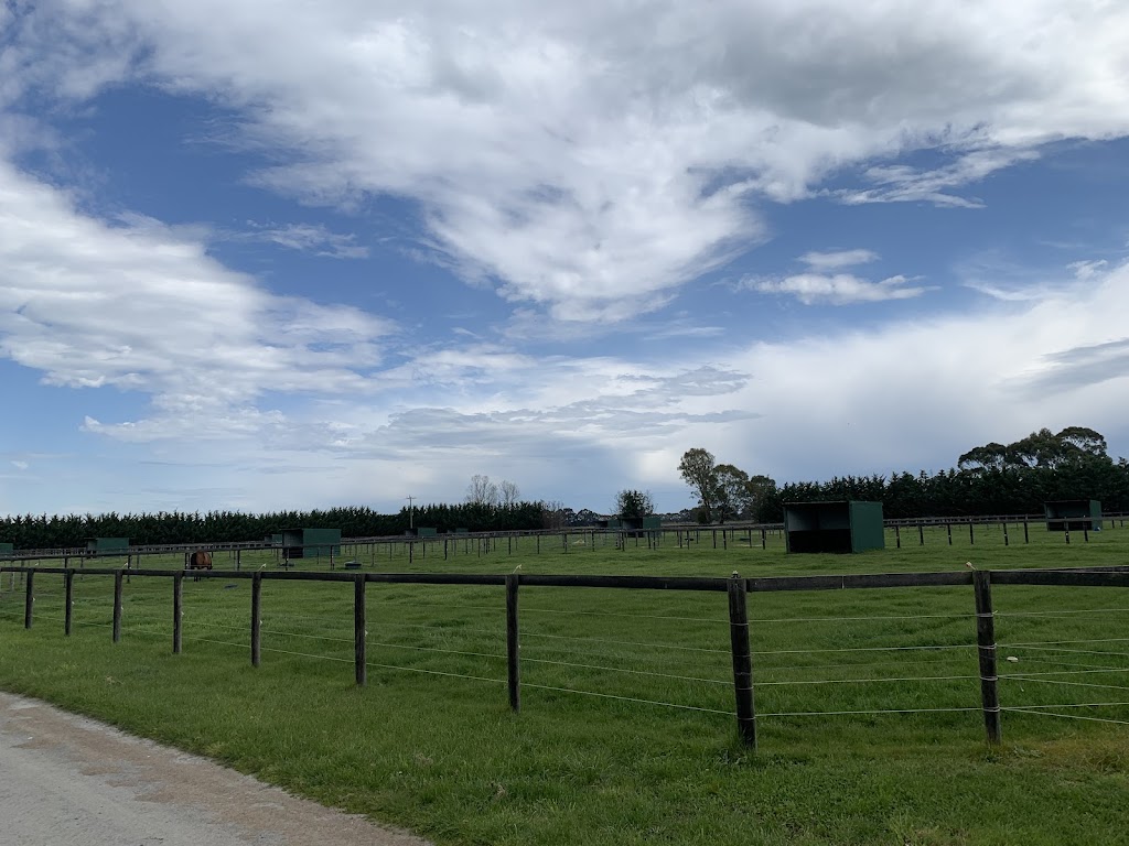 Rousseau Farms Horse Agistment | 167 Scanlons Drain Rd, Bayles VIC 3981, Australia | Phone: 0433 866 608