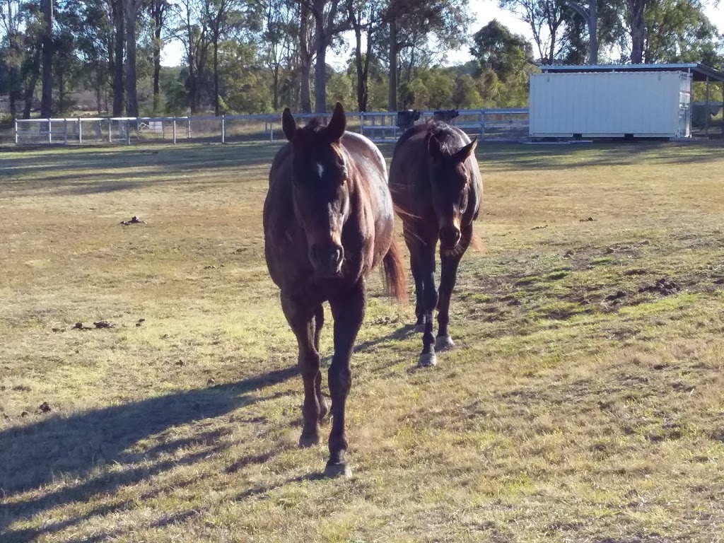 Just Like Home Pet Sitting | 17 Kahler Rd, Booie QLD 4615, Australia | Phone: 0409 662 707