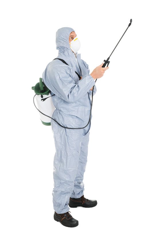 Swarm Pest Control Brisbane | 8 Brownleaf St, Mansfield QLD 4122, Australia | Phone: 1800 479 276