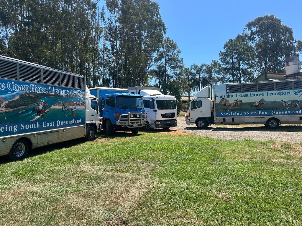 Sunshine Coast Horse Transport | 1047 Steve Irwin Wy, Glass House Mountains QLD 4518, Australia | Phone: 0402 293 117