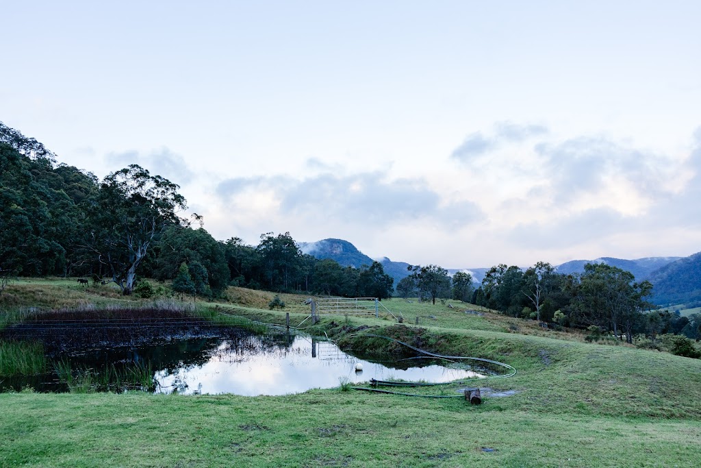 Mount DAmore | 1375 Congewai Rd, Congewai NSW 2325, Australia | Phone: 0414 368 887