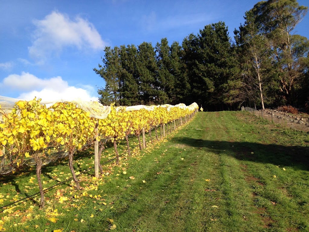 Leven Valley Vineyard | food | 321 Raymond Rd, Gunns Plains TAS 7315, Australia | 0364291140 OR +61 3 6429 1140