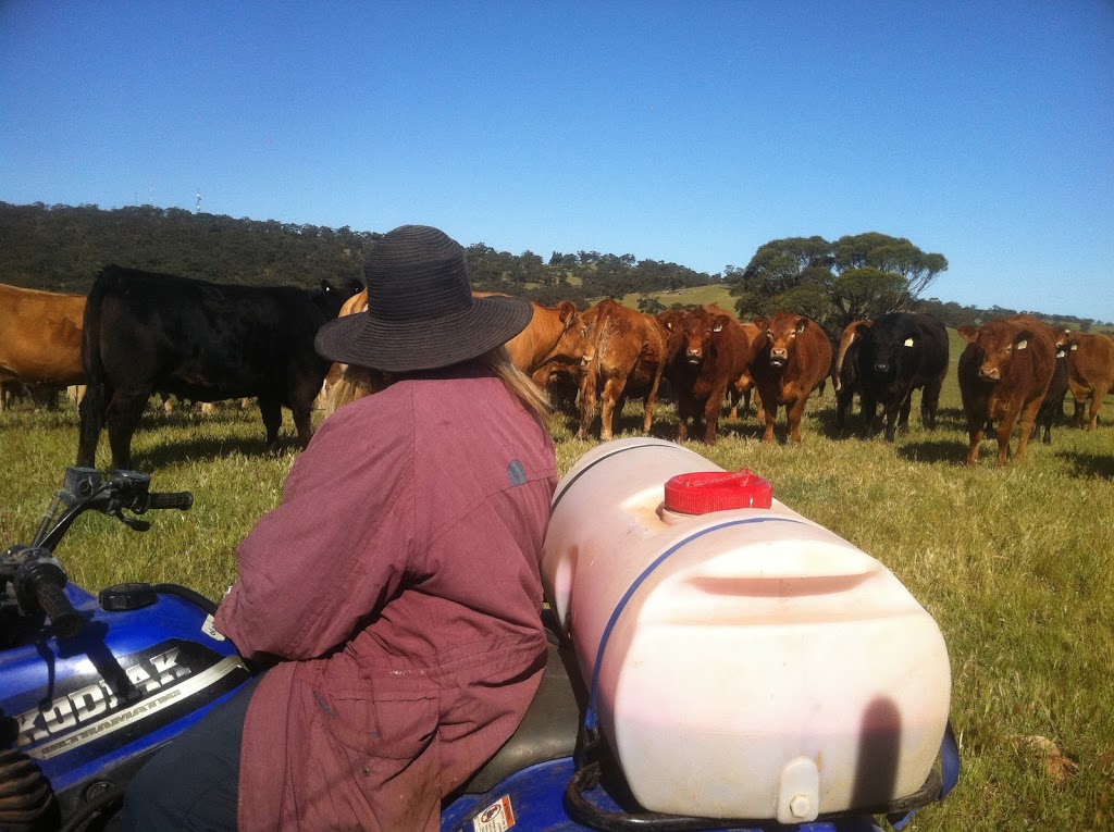 Monta Flora | 931 Salter Springs Rd, Salter Springs SA 5401, Australia | Phone: 0428 286 097