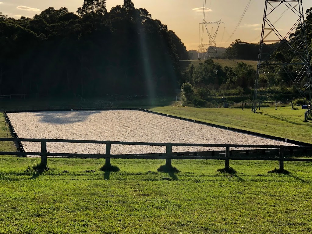 Brighton Park Boutique Agistment | 270 Bushells Ridge Rd, Wyee NSW 2259, Australia | Phone: 0411 113 045