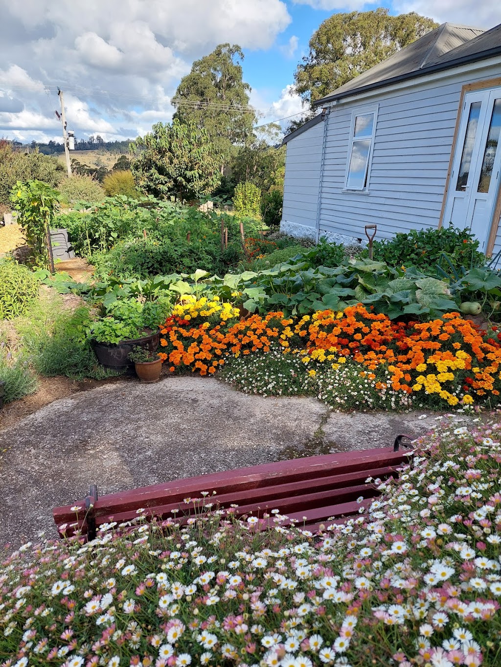 Little Farm Cottage - Organic Gardener | 526 Claude Rd, Sheffield TAS 7306, Australia | Phone: 0451 276 969