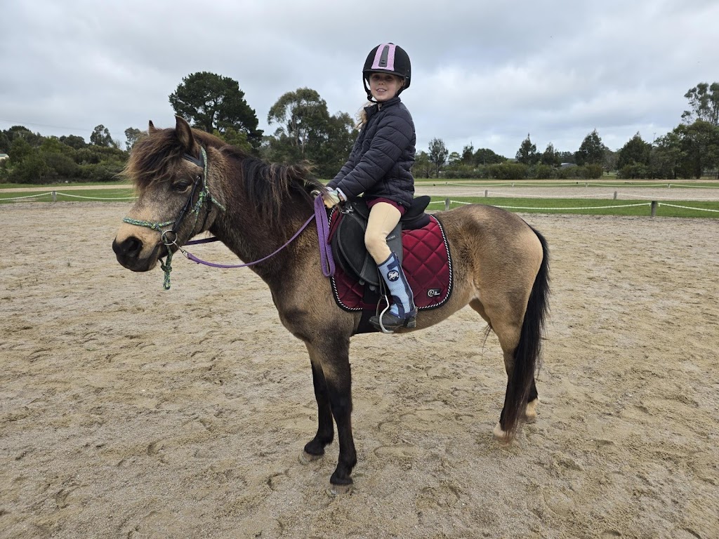 Rebel Equestrian Centre | 29 William Ct, Berringa VIC 3351, Australia | Phone: 0406 498 528