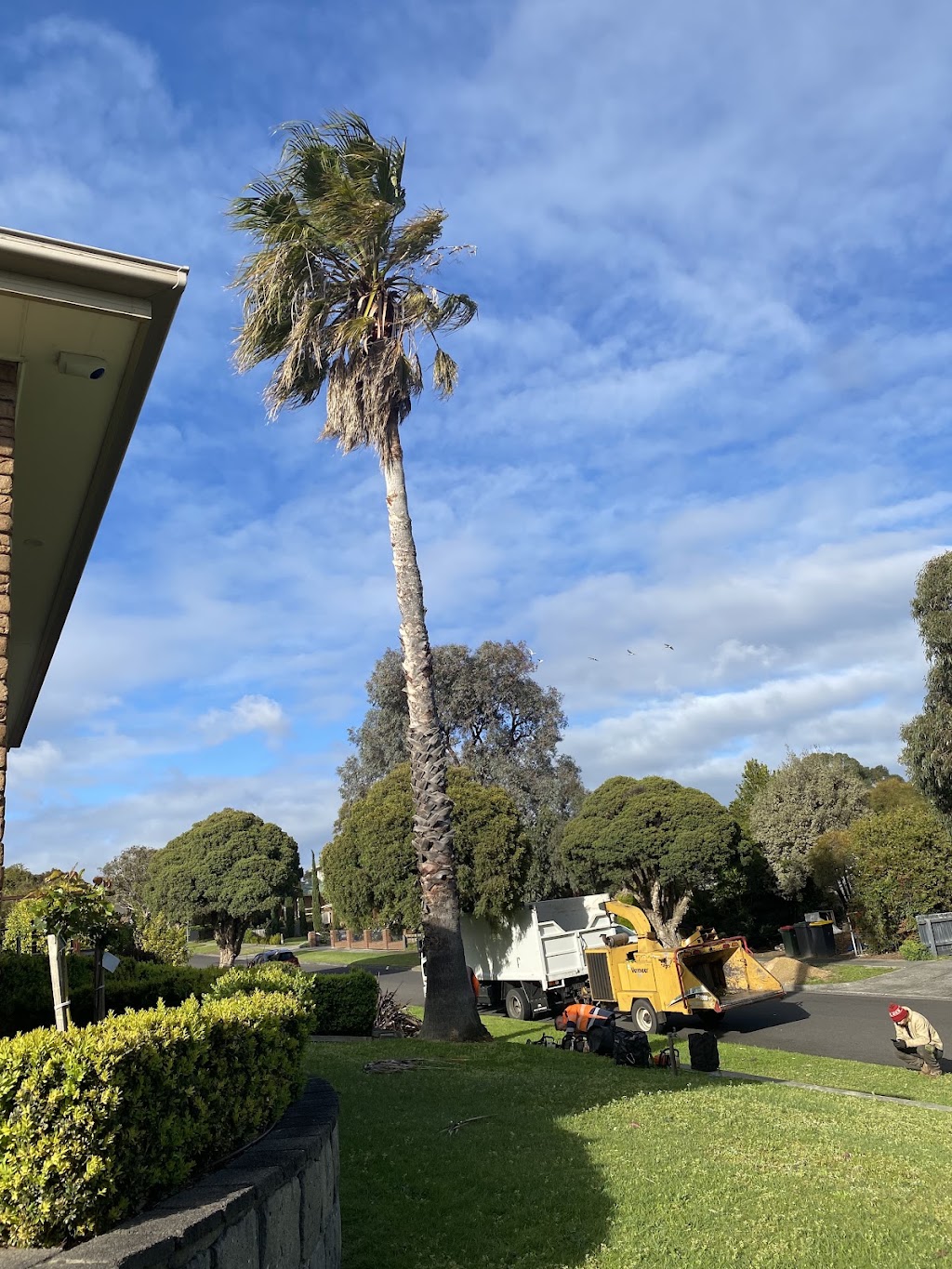 Next Step Tree Removals | 413 Monbulk Rd, Monbulk VIC 3793, Australia | Phone: 0455 331 045