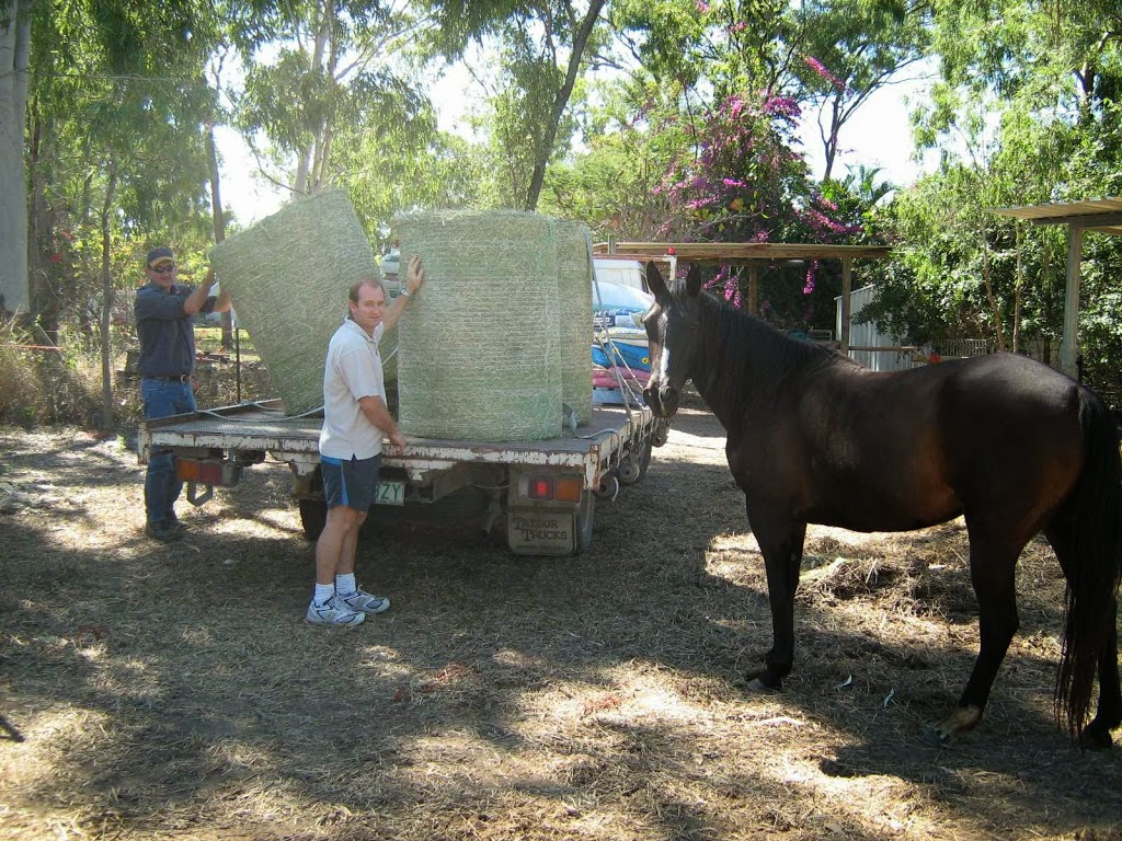 Len’s Feed Shed @ Kelso (formerly Citifarm) | store | 3/1463 Riverway Dr, Townsville QLD 4815, Australia | 0747893868 OR +61 7 4789 3868