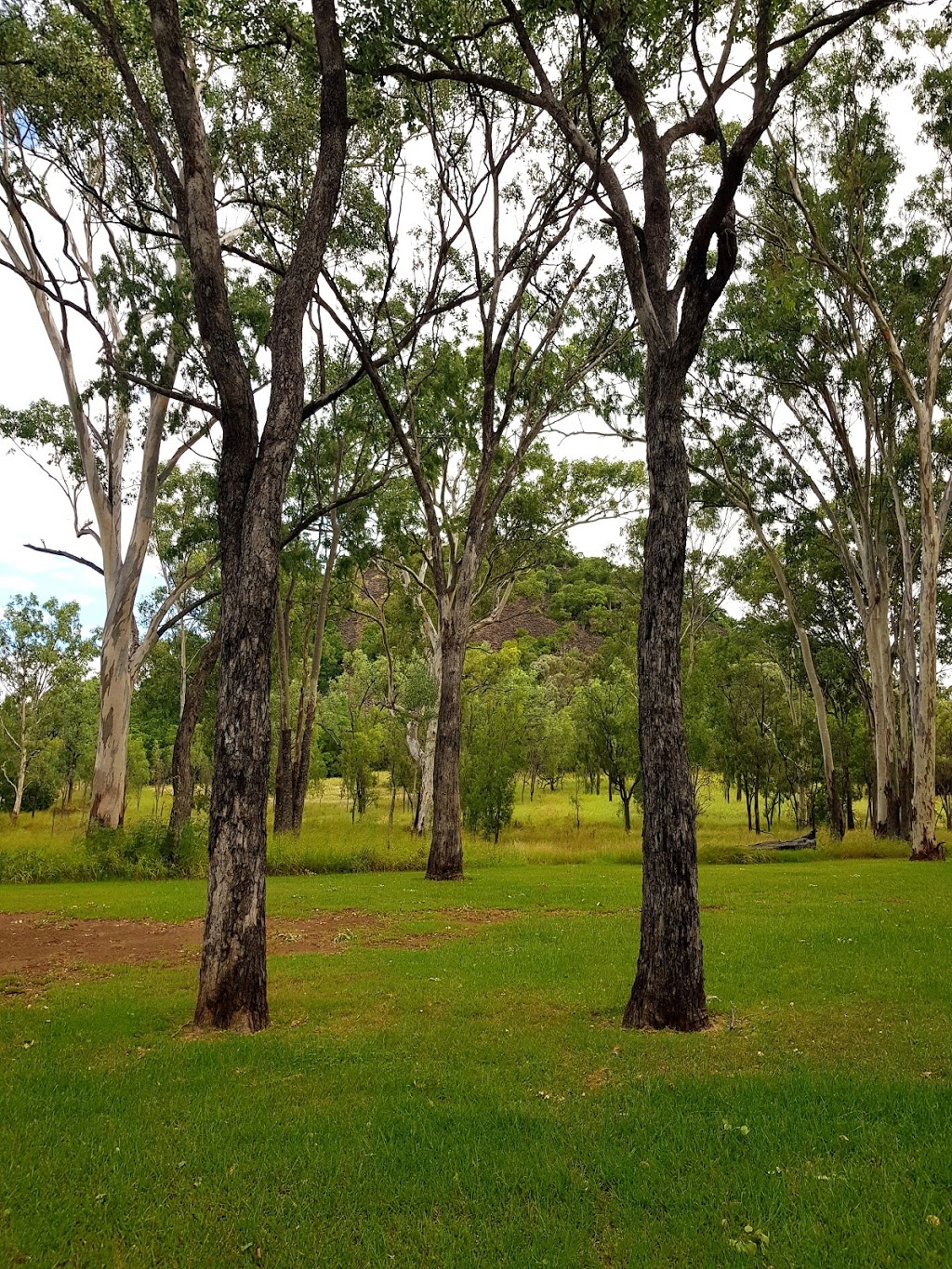 Mount Scoria Conservation Park | Thangool QLD 4716, Australia