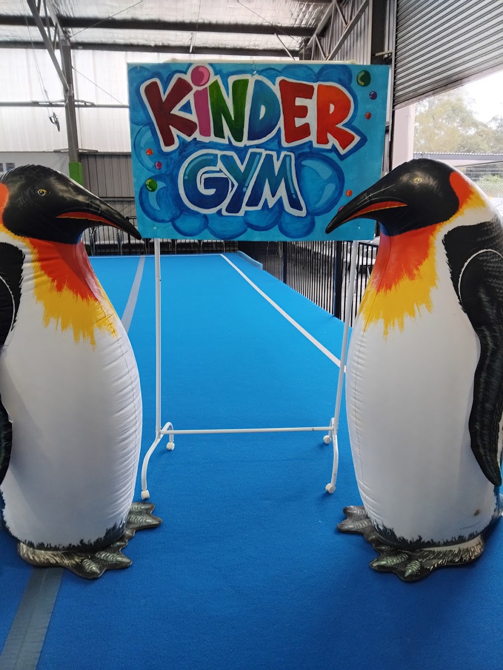 Advance Academy of Gymnastics Barnsley | Unit 2b/55 Northville Dr, Barnsley NSW 2278, Australia | Phone: (02) 4959 9333