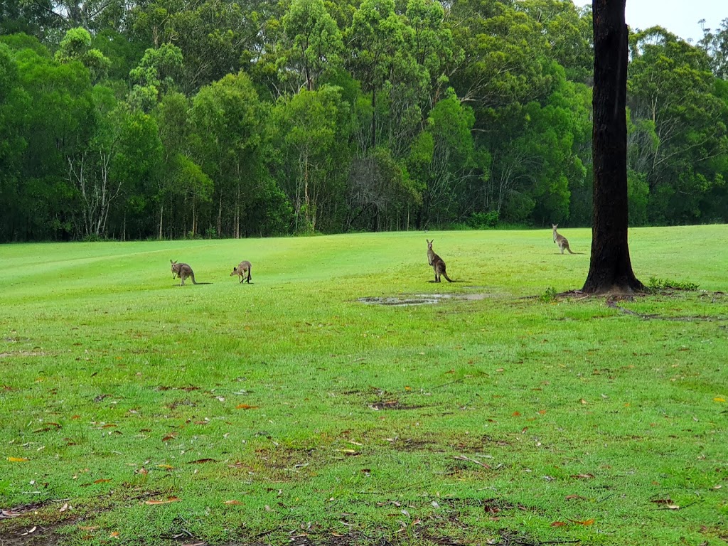 Maclean Golf Club | Golf Links Rd, Maclean NSW 2463, Australia | Phone: (02) 6645 2183