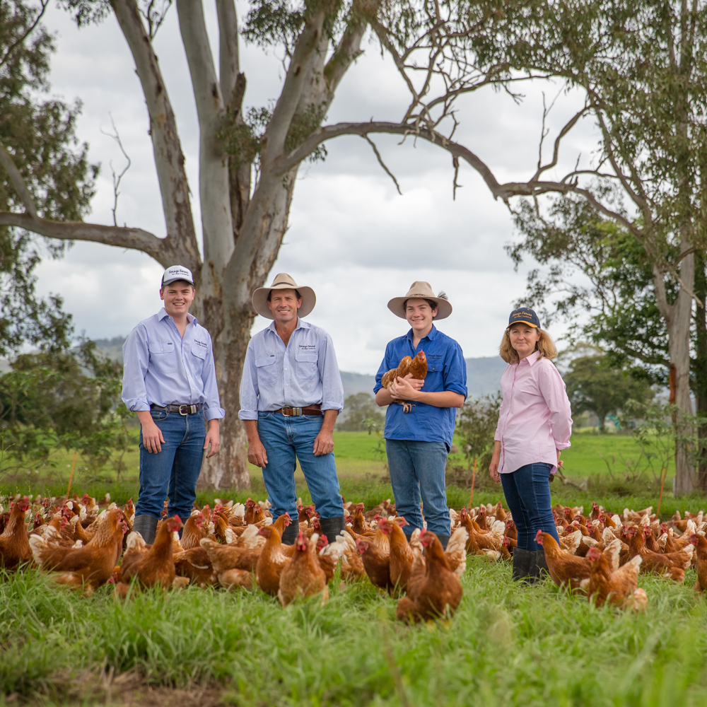Forage Farms | food | 87 Mullaly Rd, Kybong QLD 4570, Australia | 0754835429 OR +61 7 5483 5429