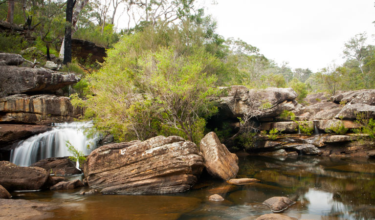 Dharawal National Park | park | Firetrail No 10d, Appin NSW 2560, Australia | 0242244188 OR +61 2 4224 4188