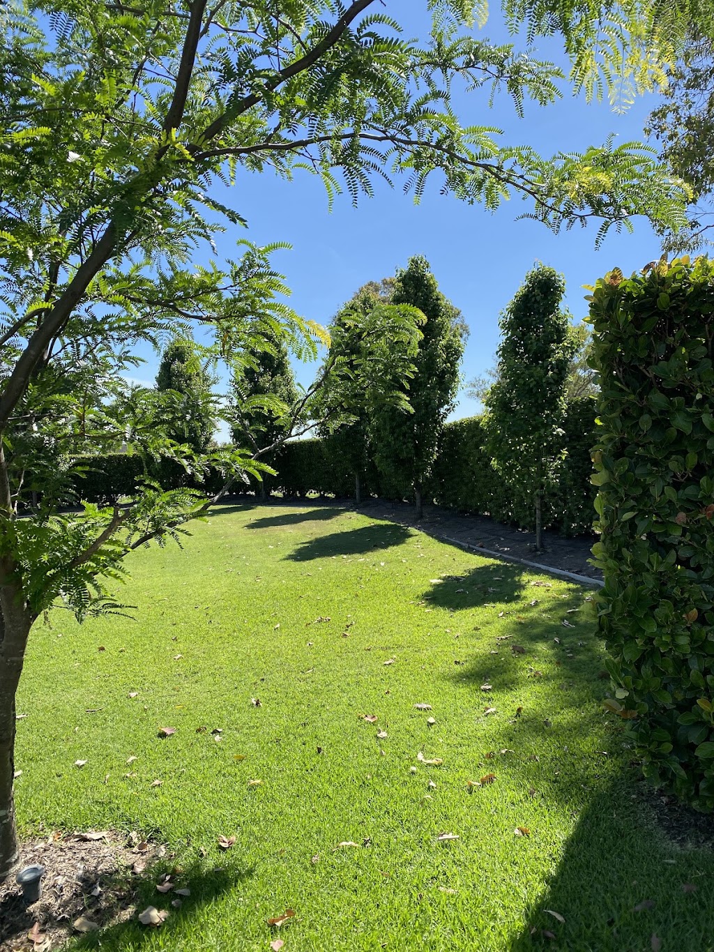 Fluro Gardens | 40 Queen St, Lorn NSW 2320, Australia | Phone: 0494 372 117