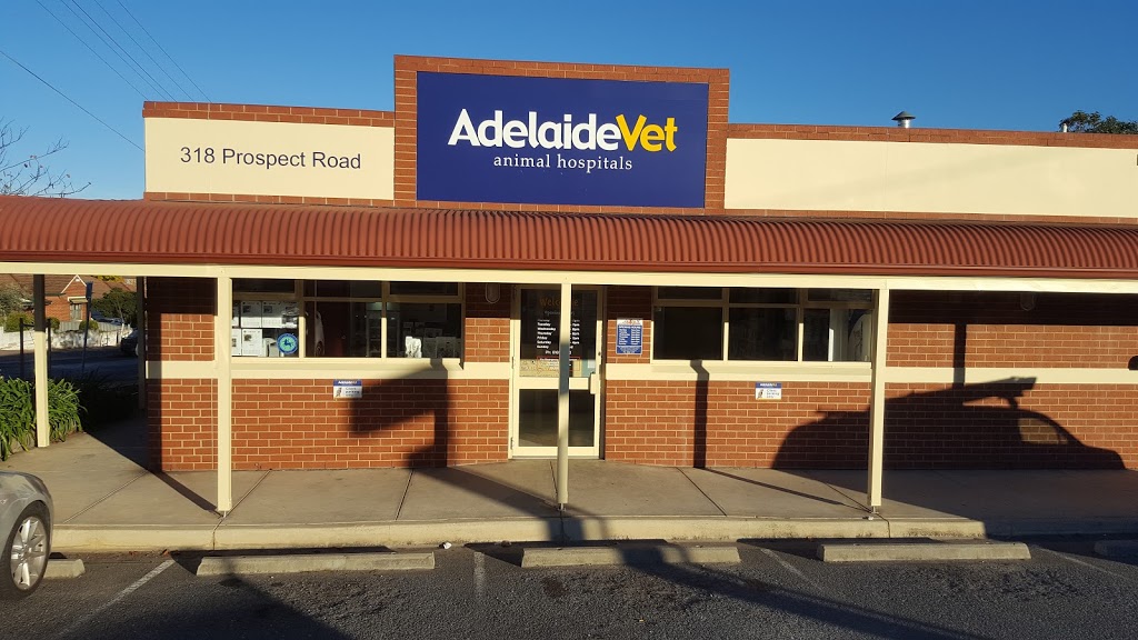 AdelaideVet Prospect | veterinary care | 318 Prospect Rd, Prospect SA 5082, Australia | 0881699733 OR +61 8 8169 9733