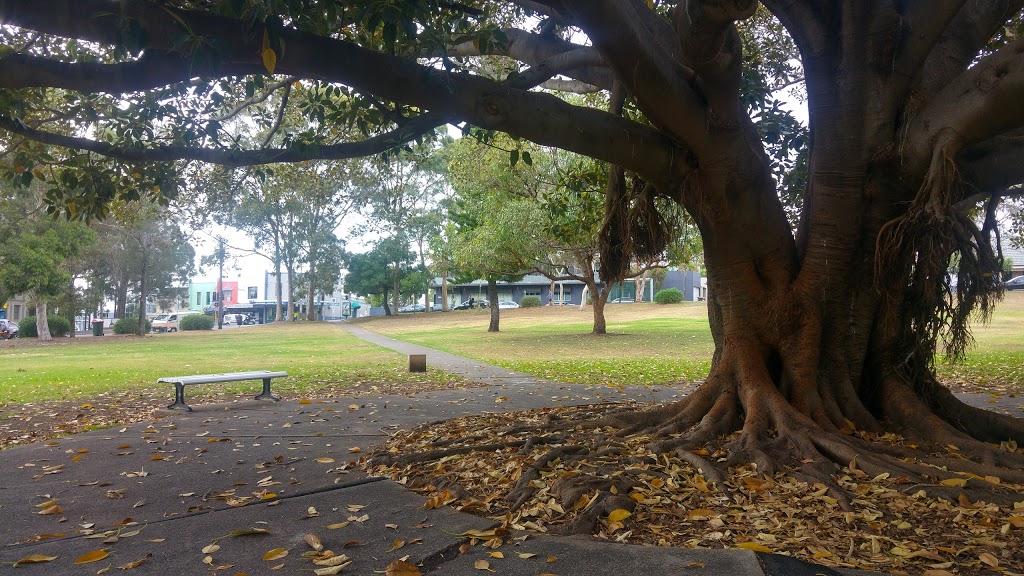 War Memorial Park | park | 39 Moore St, Leichhardt NSW 2040, Australia | 0293925000 OR +61 2 9392 5000