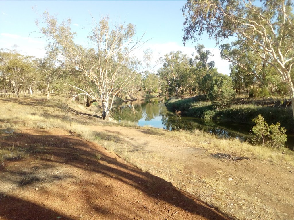 gunnedah tourist info