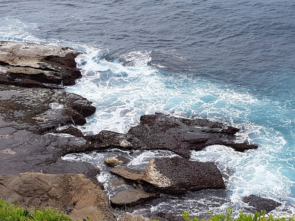 Dee Why Cliff Reserve | park | Dee Why NSW 2099, Australia