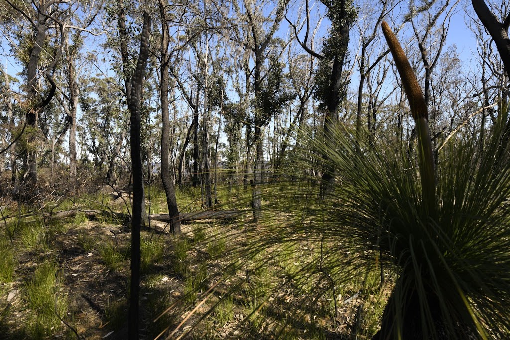 Echo Point Picnic Area | Lovers Walk Track, Bundanoon NSW 2578, Australia | Phone: (02) 4887 7270