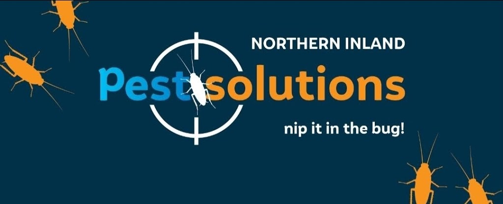 NORTHERN INLAND PEST SOLUTIONS | 279 Goonoo Goonoo Rd, Tamworth NSW 2340, Australia | Phone: 0450 176 607