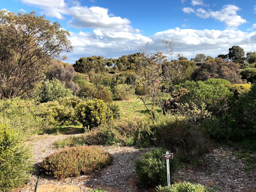 Pangarinda Botanic Garden | park | Wellington East SA 5259, Australia