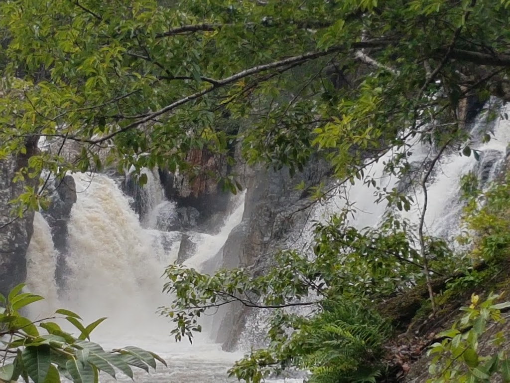 Little Millstream Falls | tourist attraction | Wooroora Rd, Ravenshoe QLD 4888, Australia | 0740977700 OR +61 7 4097 7700
