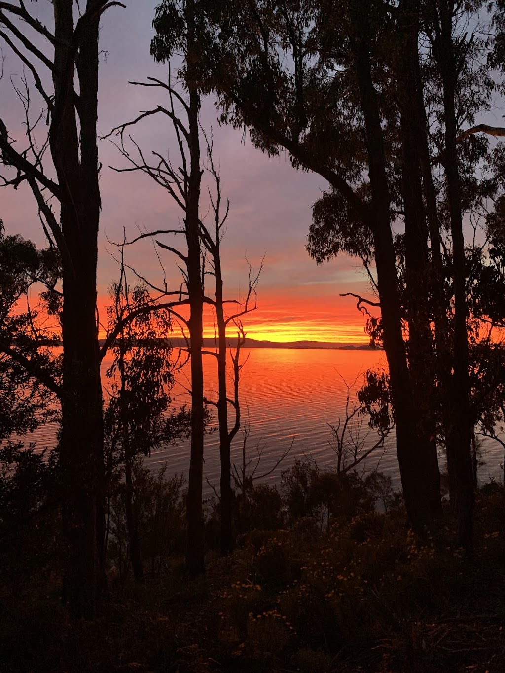 Wylah Cottage Bruny Island | 449 Simpsons Bay Rd, Simpsons Bay TAS 7150, Australia | Phone: 0488 377 738